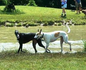 Jackson & Shiloh