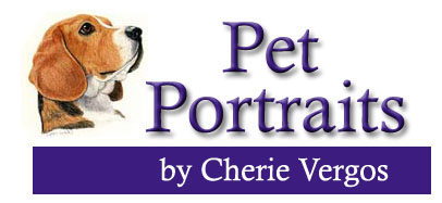 Pet Portraits